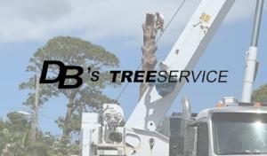 DB's Tree Service