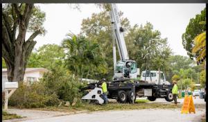 Element Tree Care