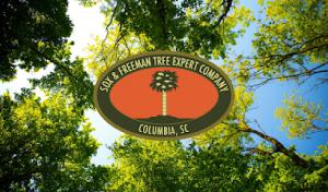 Sox & Freeman Tree Expert
