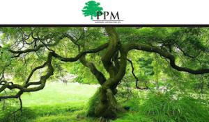 PPM Tree Service & Arbor Care