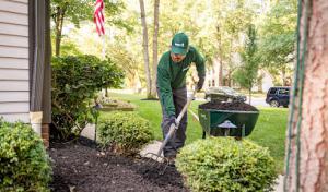 The Davey Tree Expert Company