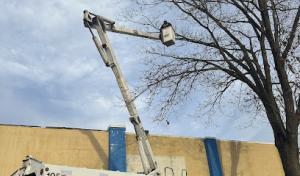 Big Mike's Tree Service