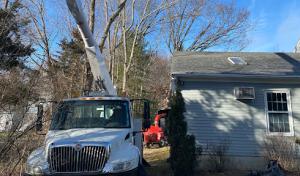 Osborn Tree Service