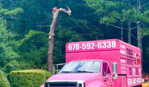 A&R Tree Service