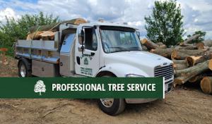 E. W. Smith Tree Service