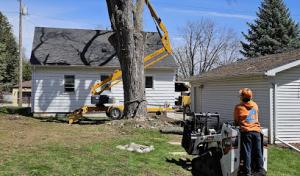 EPIC Tree Care of Green Bay
