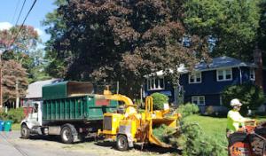 McDonald Tree Service