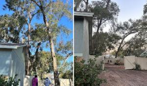 Rise & Grind Tree Solutions