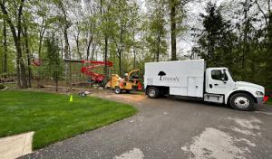 Edmonds Tree & Landscape Service