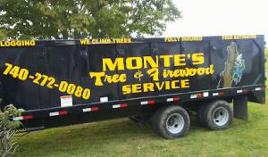 Montes tree&firewood service