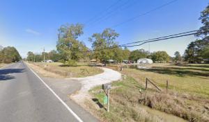 Alvin Comeaux's Stump Grinding & Tree Service