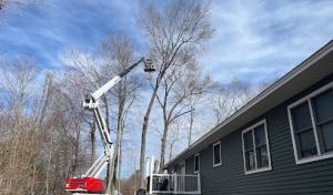 Tip Top Tree Service