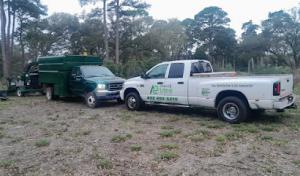All Points Tree Services
