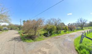 Green Thumb tree care vacaville California 95688