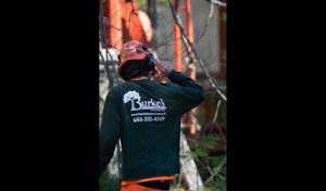 Burke's Tree Service