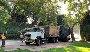 Preston Septic Service