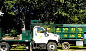 Sunshine Tree & Landscape