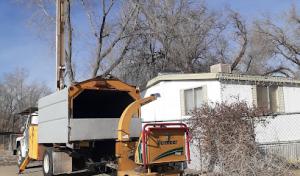 M&S Quality Tree Service