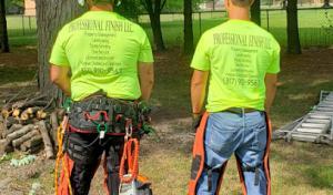 Pro Finish Tree Care