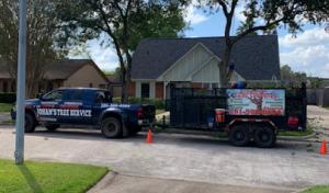 Johan's tree services