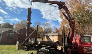 Viewpoint Tree Service