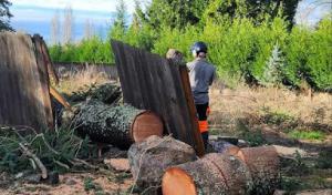 Tru Grit Tree Service