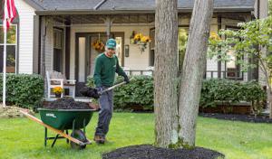 The Davey Tree Expert Company