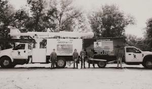 Sasquatch Tree & Stump