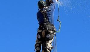 High Plains Tree Works