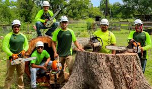 Meadows Tree Service