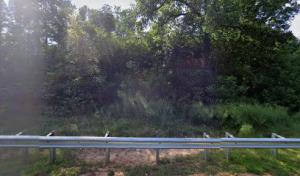 Roger's Tree Services