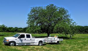 Texas Tree Care