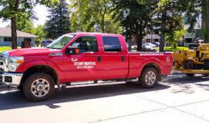 Paul's Stump Removal