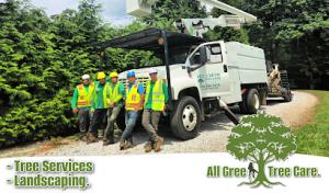 All Green Tree Care Removal & Landscape