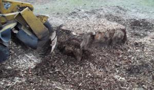 Rio Grande Septic Systems