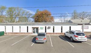 Hampton Tree Experts