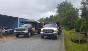 Mountain Tree Professionals