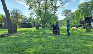 Branch Out Tree Services