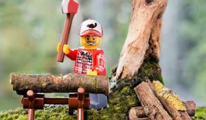 Ames Story Tree & Lawn