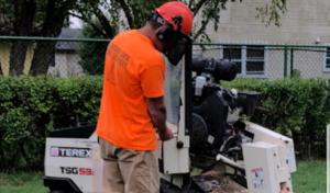 Broken Limb Tree Services