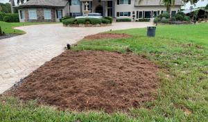 Calderon Stump Removal Services