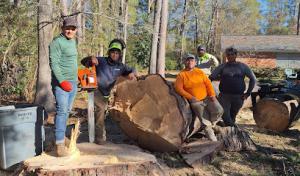 Garcia's Tree Experts