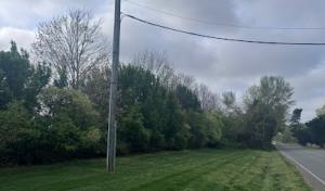 Centrella Tree Service