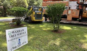 Waxhaw Tree Service