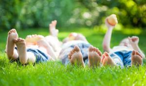 Harder Tree & Landscape Service