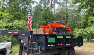 Tree Problem Solvers