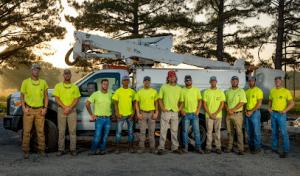 Natural State Tree Service