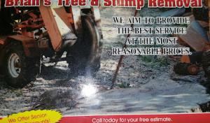 Brian's Tree & Stump Removal