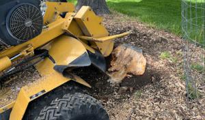 The Stump Grinder
