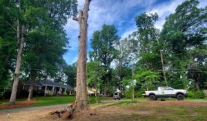 JBeez Outdoor Experts